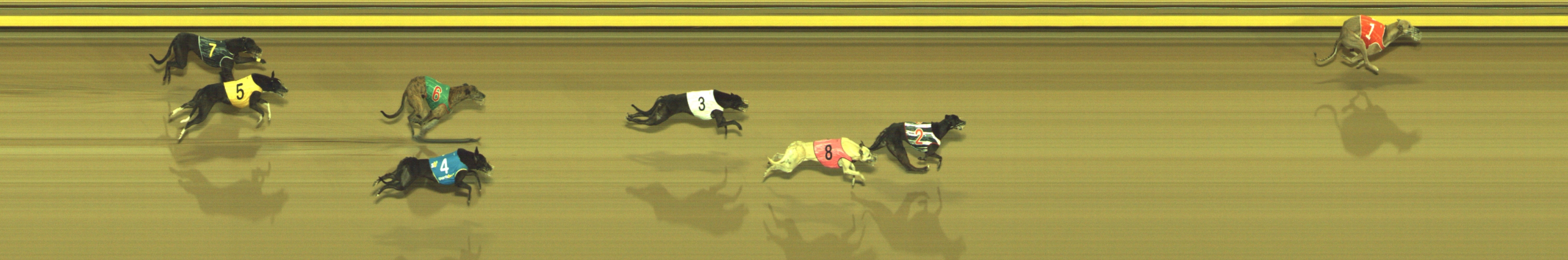 Race result finish photo